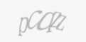 Қорғаныс коды